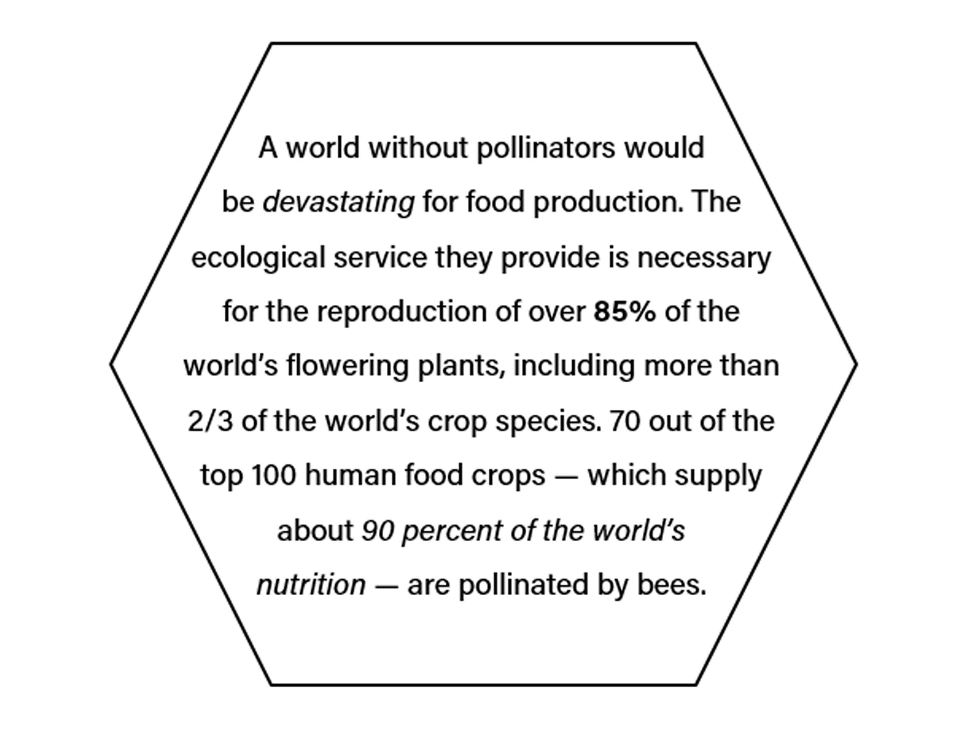 A world without pollinators would be devastating for food production. The ecological service they provide is necessary for the reproduction of over 85% of the world’s flowering plants, including more than 2/3 of the world’s crop species. 70 out of the top 100 human food crops — which supply about 90 percent of the world’s nutrition — are pollinated by bees.